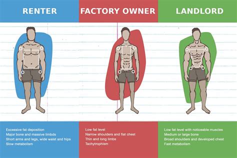 A Quick Infographic About The 3 Body Types Rloveforlandlords