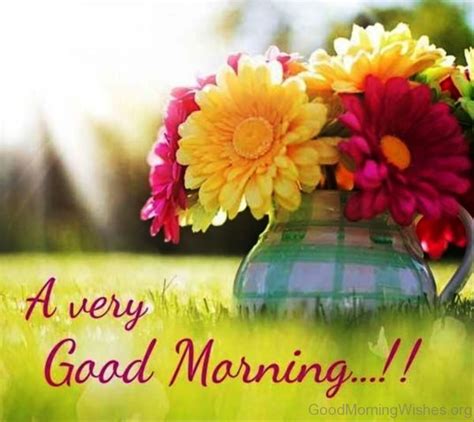 Beaches, mountains, flowers, oceans, trees, seasons & more ture-download-mojly-quotes-A-Very-Good-Morning-Flower ...