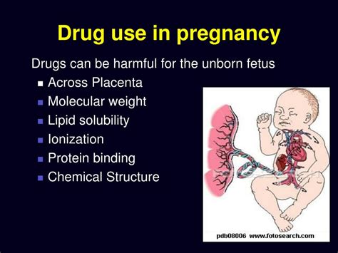 Ppt Effect Of Maternal Drugs On Fetus Powerpoint Presentation Free