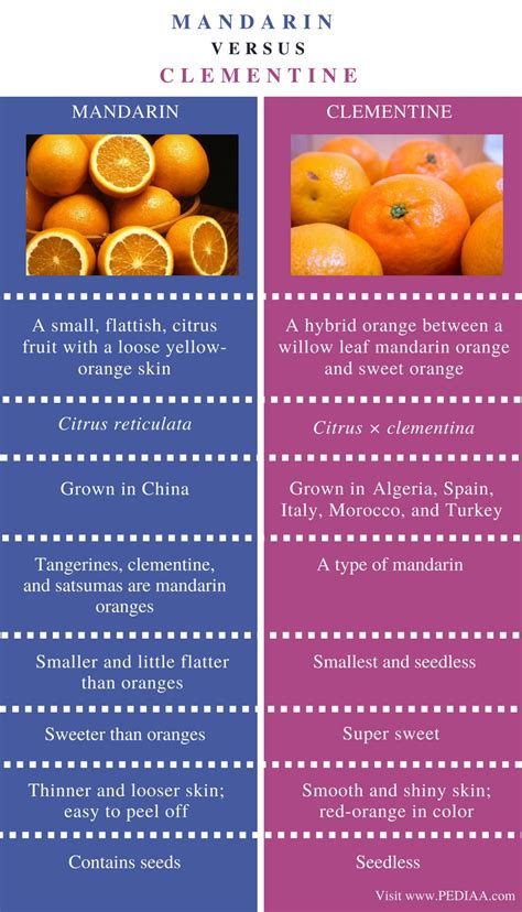 Difference Between Clementine And Tangerine And Satsuma Gasmmoves