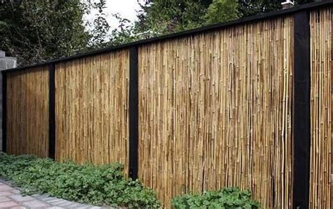 Negara kita kaya dengan tanaman bambu. ツ 18+ desain pagar bambu cantik nan unik minimalis ...