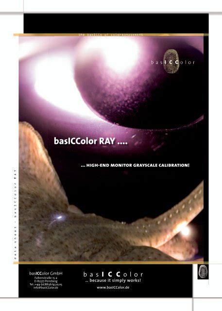 Basiccolor Ray High End Monitor Grayscale Calibration