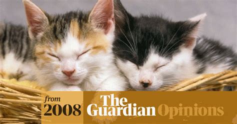 Pass The Cat Burgers Justine Hankins The Guardian