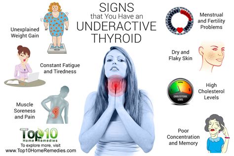 Symptoms Of Underactive Thyroid Fatigue And Weight Gain Come To Mind