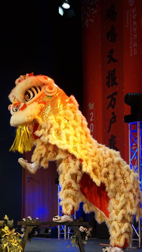 Auf der karte finden und einen tisch reservieren. Duisburg feiert das Chinesische Frühlingsfest: Musik, Tanz ...