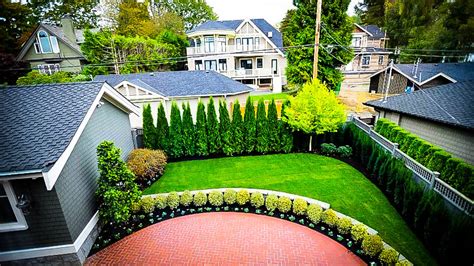 Privacy trees are a natural and excellent way to block out unwanted sights or sounds or define a it isn't easy to find privacy trees that deer avoid and let's face it if there is nothing else to eat deer will. Privacy Tree Fence
