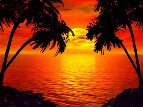 38 Tropical Beach Sunset Wallpaper Wallpapersafari