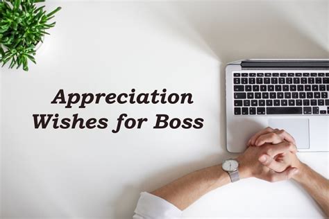 Best Appreciation Messages Wishes Quotes For Boss List Bark SexiezPix