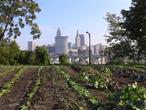 Besides sending flowers, you may also send flower hampers, flowers in vase, bouquets. A Last Minute Gift for Urban Agriculture from Ohio's ...
