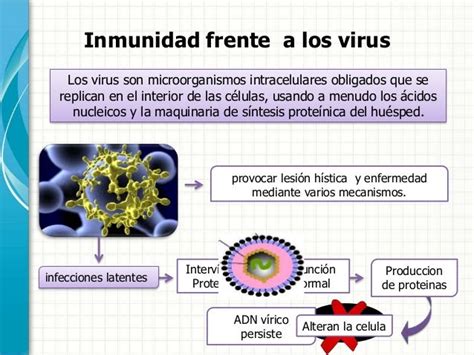 Inmunidad E Infección