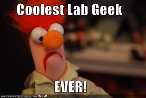 The 61 Best Beaker Muppetshow Images On Pinterest The Muppets Jim
