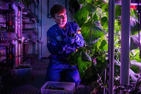 Have You Ever Wondered What Plants Grow In Space Nurserylive