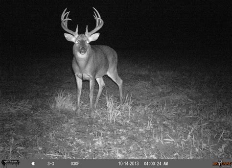 Trail cameras are a great scouting tool and have certainly led to the demise of more than a few trophy bucks over the last decade or so. Iowa Late Season - Driven with Pat & Nicole