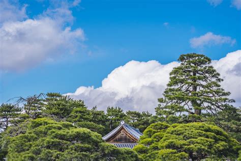 Imperial Gardens Pictures Download Free Images On Unsplash