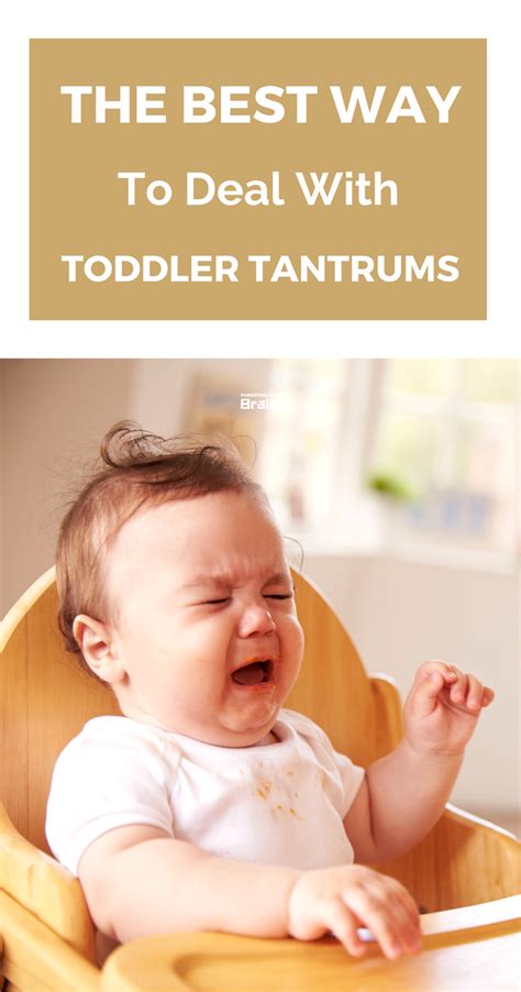 Temper Tantrum - 7 Tips to Stop Toddler Tantrums ...