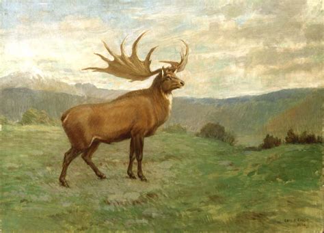 Giant Irish Elk