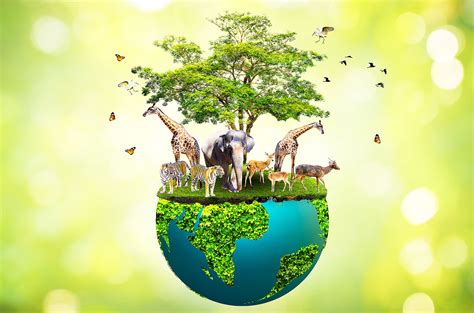 Endangered Species Day Millions Of Species Share The Earth With Humans