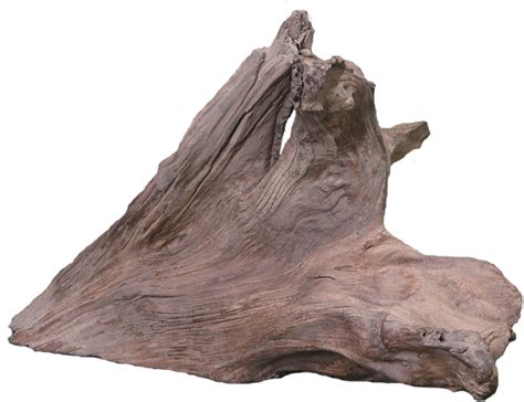 Download Driftwood Png Image With No Background