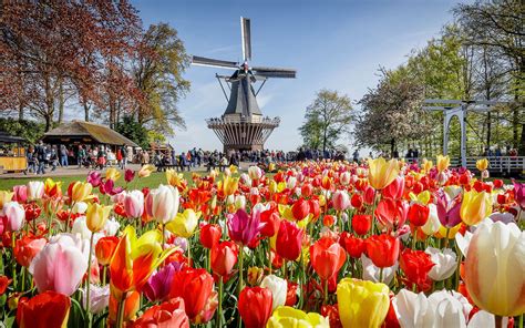 Los Jardines Keukenhof 2017 Estarán Dedicados Al Diseño Holandés Guide