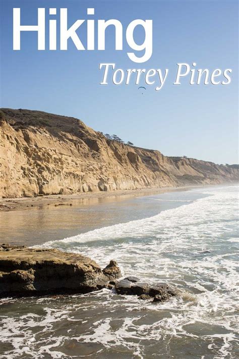 It's easy to say thank you for this guide! Torrey Pines State Reserve: Hiking Razor Point, Yucca ...