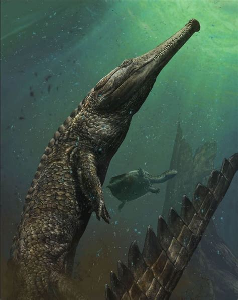 New Species Of Crocodile Like Dinosaur Discovered