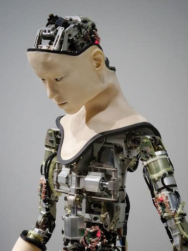 Naked Robot Google Arts Culture