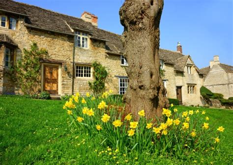 5 out of 5 stars. Daffodils in the Cotswolds | Cotswold Inns & Hotels
