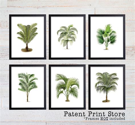 Palm Tree Print Set Palm Tree Art Botanical Prints Wall Art Palm