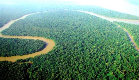 Berikut urutan sungai terpanjang di dunia dari 10 sampai ke 1 (yang terpanjang di dunia). pengen tau: Sungai Terpanjang dan Terluas di dunia