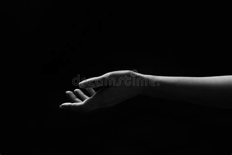 Black And White Hands Art Photography Stock Image Image Of Closeup