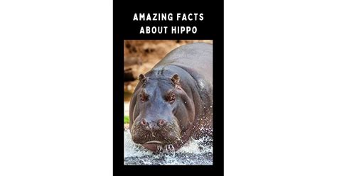 Amazing Facts About Hippopotamus By Mouras Thipursiyus