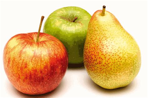 Enabling Environments Lets Explore Apples And Pears Nursery World
