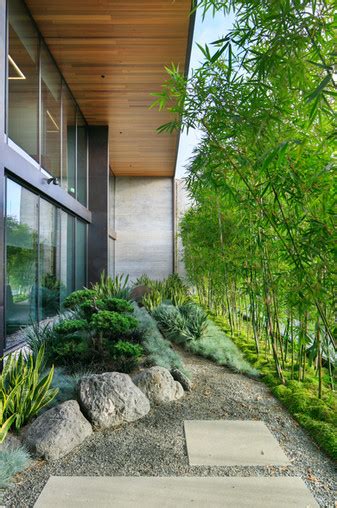Grounded Landscape Architecture Modern Landscape Architecture San Diego