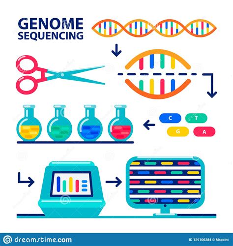 Dna Sequencing Genome Information Saving Vector Illustration
