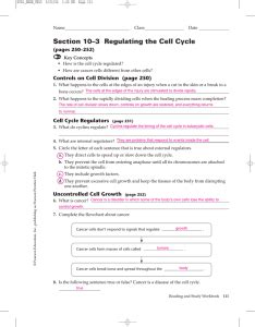 Phases and mechanisms with answer key. Cell Cycle - studyres.com