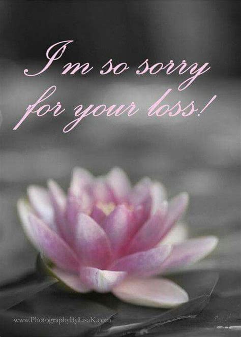 Condolence Sorry For Your Loss Quotes Shortquotes Cc