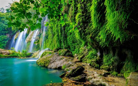 Green Tropical Forest Waterfall Lake Landscape Nature 4k