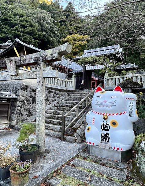 Omatsu Daigongen — The Amazing Cat Temple Of Shikoku More Than Tokyo
