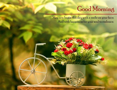 Maybe you would like to learn more about one of these? Good Morning Images Download Free HD WhatsApp Pics ...
