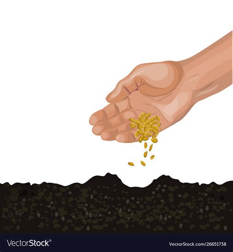Hand Sowing Seeds Royalty Free Vector Image Vectorstock