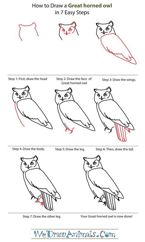 How To Draw A Great Horned Owl Step By Step Owls Drawing Owl Drawing Simple Bird Drawings