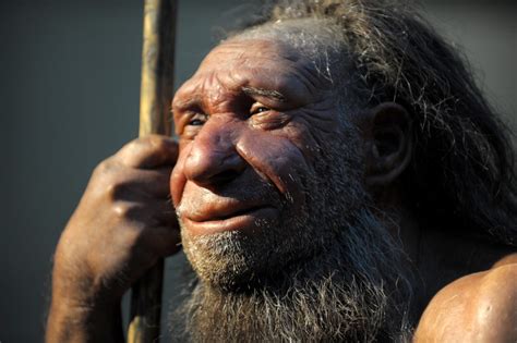 Neanderthals And Humans May Have Had Sex For Millennia Study