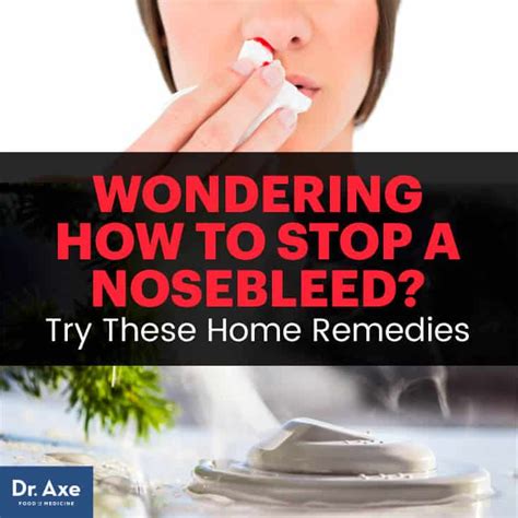 How To Stop A Nosebleed 4 Home Remedies Prevention Dr Axe Telegraph