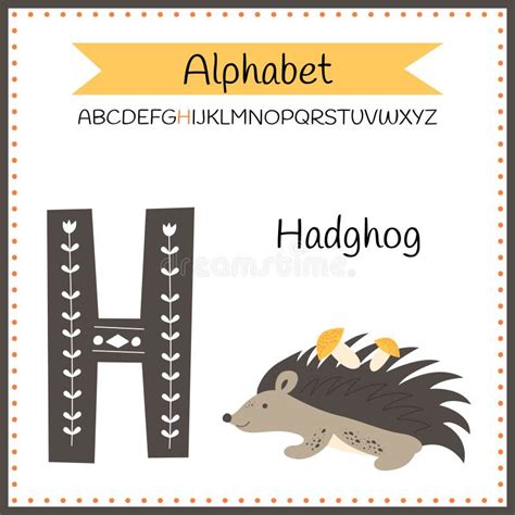 Cute Children Animal Alphabet H Letter Flashcard Of Hedgehog For Kids