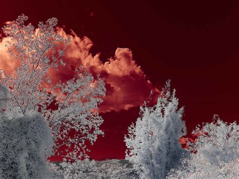 Infrared Filters How To Use Them For Stunning Photos · Urth Magazine
