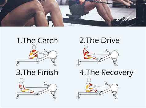 Rowing Is Good For You — Its A Full Body Workout — Maybeyesno Best