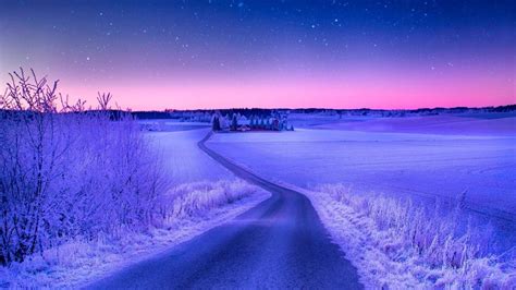 Frozen Night Road Backiee