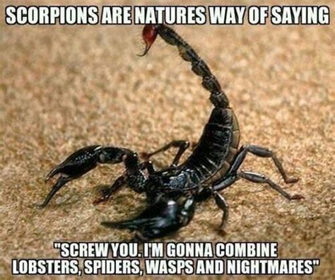 Astrology Memes Funny Scorpio Quotes Hilarious Humor Funny