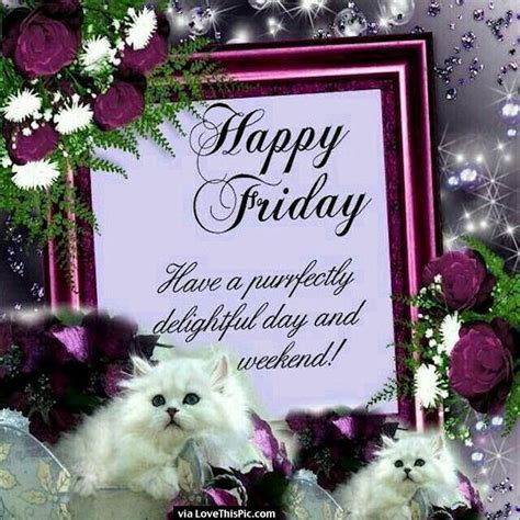 Happy Friday Quote With Cute Cats Pictures Photos And Images For