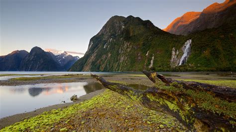 Visite Fiordland National Park O Melhor De Fiordland National Park